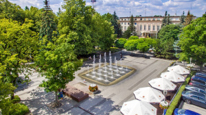 Pielęgnacja zieleni