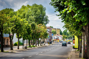 Pielęgnacja zieleni