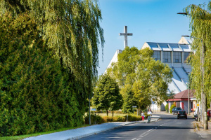 Pielęgnacja zieleni