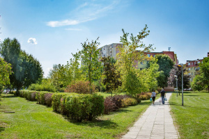 Pielęgnacja zieleni