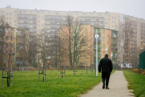 Pielęgnacja zieleni