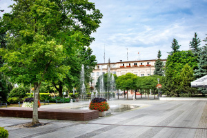 Pielęgnacja zieleni