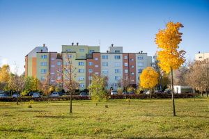 Pielęgnacja zieleni