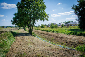 Pielęgnacja zieleni