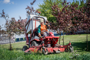 Pielęgnacja zieleni